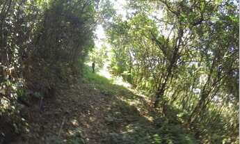 Imagem 7: TERRENO RESIDENCIAL À VENDA, PRAIA DA SOLIDÃO, FLORIANÓPOLIS