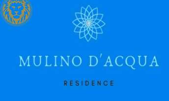 Imagem 3: Casa 3 dormitórios a venda no Campeche em Florianópolis