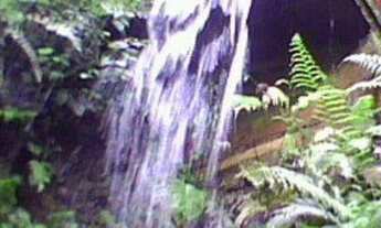Imagem 3: TERRENO RURAL em RIBEIRÃO BRANCO - SP, ITABOA