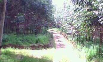 Imagem 4: TERRENO RURAL em RIBEIRÃO BRANCO - SP, ITABOA