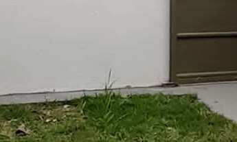 Imagem 2: 3/4 C/ Suíte | R$220Mil