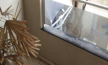 Imagem 6: 2 dormitórios na Rua Joao Carlos Gonçalvez