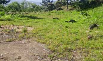 Imagem 6: Terreno para construção de 3 casas, com Matrícula no Registro de Imóveis, a 5 minutos do C