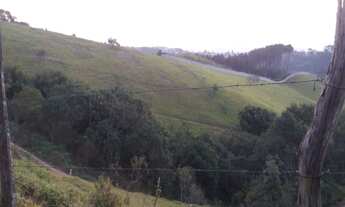 Imagem 3: Área a venda em Arujá