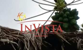 Imagem 4: Imóvel a venda Jalapão- Tocantins