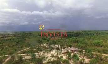 Imagem 2: Imóvel a venda Jalapão- Tocantins