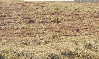 Imagem 6: Terreno a venda em Araraquara