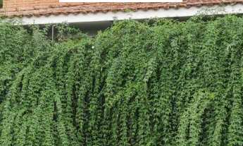 Imagem 4: CASA RESIDENCIAL em ARARAQUARA - SP, VILA HARMONIA