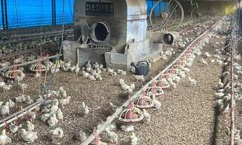 Imagem 4: AREA RURAL em SÃO PAULO - SP, VILA SOCORRO