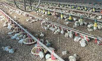 Imagem 3: AREA RURAL em SÃO PAULO - SP, VILA SOCORRO