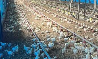 Imagem 5: AREA RURAL em SÃO PAULO - SP, VILA SOCORRO