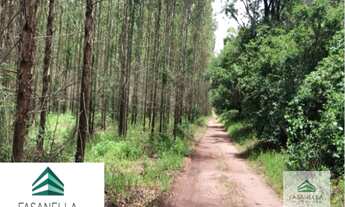 Imagem: Fazenda à venda em São Simão