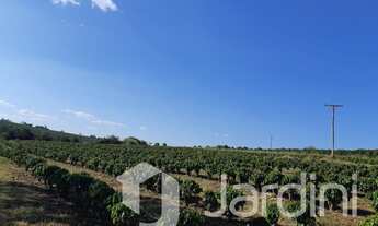 Imagem 7: Rancho a venda na Estrada da Mata em Ibiraci mg