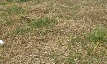 Imagem: Terreno residencial para venda Jardim João