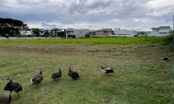 Imagem: Terreno Lote a Venda no Residencial Olívito