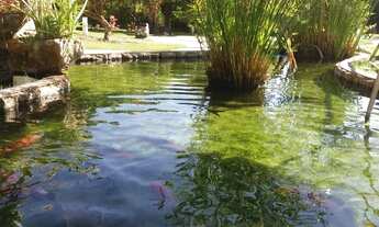 Imagem 4: Chácara de Luxo à Venda em Monte Carlo, Guapiaçu-SP: 3 Quartos, 2 Suítes, Piscina e Segura