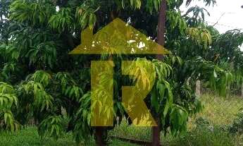 Imagem 6: CHACARA RESIDENCIAL em CEDRAL - SP, RURAL