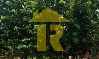 Imagem 3: CHACARA RESIDENCIAL em CEDRAL - SP, RURAL