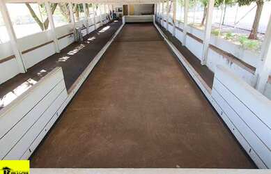 Imagem 5: Terreno em Condomínio à Venda em Guapiaçu-SP 3.400 m² no Condomínio Residencial Monte Car