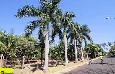 Imagem 10: Terreno em Condomínio à Venda em Guapiaçu-SP 3.400 m² no Condomínio Residencial Monte Car