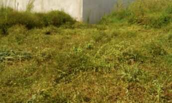 Imagem 4: TERRENO RESIDENCIAL em SÃO JOSÉ DO RIO PRETO - SP, PARQUE VILA NOBRE