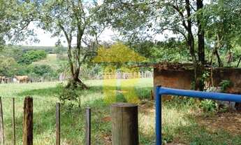 Imagem 2: AREA RURAL em COSMORAMA - SP, ZONA RURAL