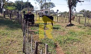 Imagem 4: AREA RURAL em COSMORAMA - SP, ZONA RURAL