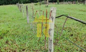 Imagem 6: AREA RURAL em COSMORAMA - SP, ZONA RURAL