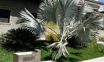 Imagem 3: Casa de luxo no Golden Park: 3 quartos, 3 suítes, 3 salas, 5 banheiros, 6 vagas de garagem