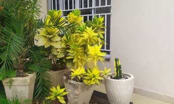 Imagem 2: Imóvel à venda: Casa de 3 quartos na Vila Angélica, São José do Rio Preto-SP! Confira!