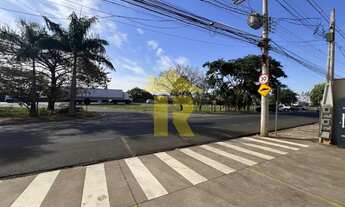 Imagem 5: Sala Comercial para Locação em São José do Rio Preto-SP, Parque Residencial Comendador Man