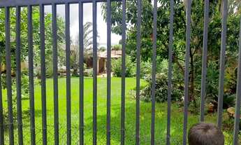 Imagem 2: CHACARA RURAL em IPIGUÁ - SP, CONDOMÍNIO BACURI