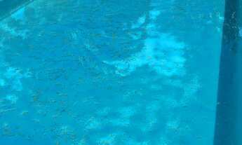 Imagem 6: Chácara à venda em Cedral-SP, Estância Bortoluzzo: 4 quartos, 1 suíte, 2 salas, 3 banheiro