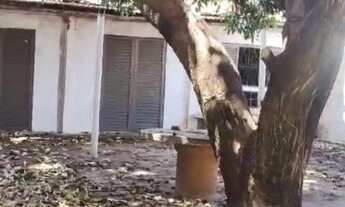 Imagem 3: TERRENO COMERCIAL em SÃO JOSÉ DO RIO PRETO - SP, JARDIM SANTA LÚCIA