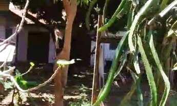 Imagem 4: TERRENO COMERCIAL em SÃO JOSÉ DO RIO PRETO - SP, JARDIM SANTA LÚCIA