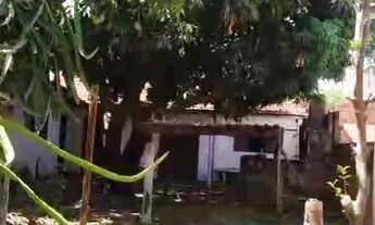 Imagem 5: TERRENO COMERCIAL em SÃO JOSÉ DO RIO PRETO - SP, JARDIM SANTA LÚCIA