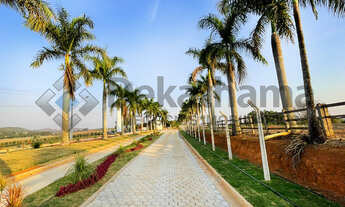Imagem: TERRENO RESIDENCIAL em CAMPOS GERAIS - MG