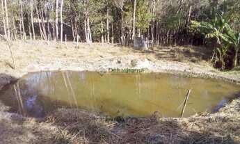 Imagem: SITIO RURAL em AREADO - MG, Grama