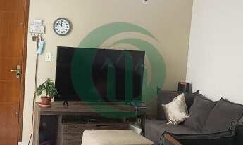 Imagem 4: Ótimo apartamento sem condomínio na Vila Mazzei