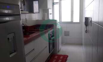 Imagem 3: Lindo Apartamento na Vila Homero Thon