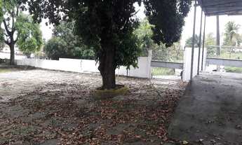 Imagem 6: Ponto na Avenida Mario Ypiranga - Adrianopolis