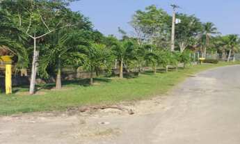 Imagem 2: Chácara na BR174 - Ramal da Fazenda Esperança (KM15