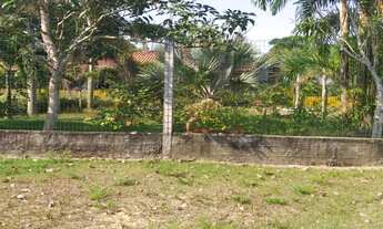 Imagem 4: Chácara na BR174 - Ramal da Fazenda Esperança (KM15