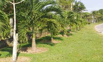 Imagem 5: Chácara na BR174 - Ramal da Fazenda Esperança (KM15