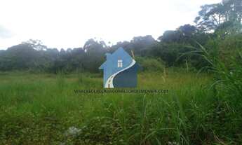 Imagem 7: Rua Professor Nilton Lins no Parque das Laranjeiras