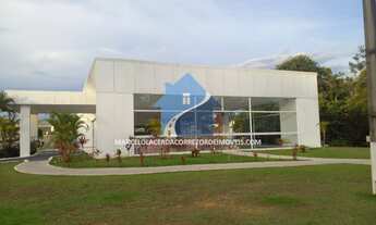 Imagem 7: Passaredo - Ponta Negra