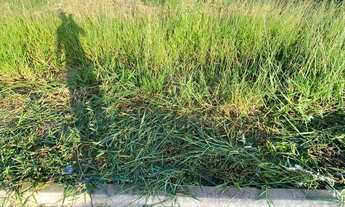 Imagem 2: TERRENO RESIDENCIAL em INDAIATUBA - SP, JD CASA BLANCA