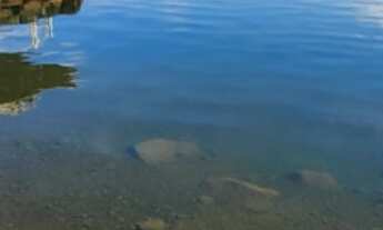 Imagem 4: Chácara 6.115m2 - OPORTUNIDADE ÚNICA - Miranda - Condomínio 2000 - Moradia e Lazer