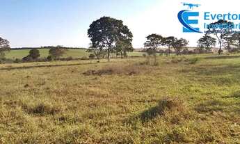 Imagem 7: Fazenda no município de Itapagipe contando 72 alqueires ou seja 348,48 hectares !