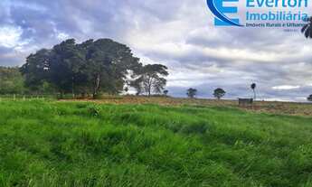 Imagem 4: Fazenda no município de Itapagipe contando 72 alqueires ou seja 348,48 hectares !